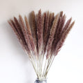 Dried Pampas Grass Bouquet – 60cm, 15 Stems, Natural Tones | Loam & Linen