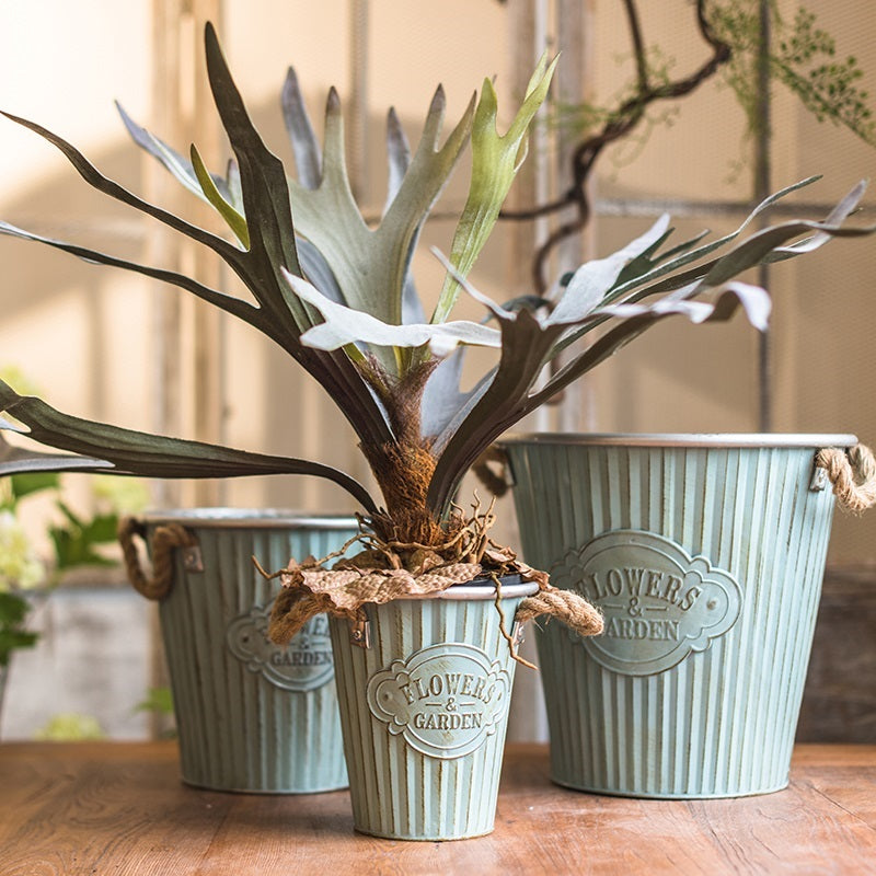 Faux Staghorn Fern Wall Decor