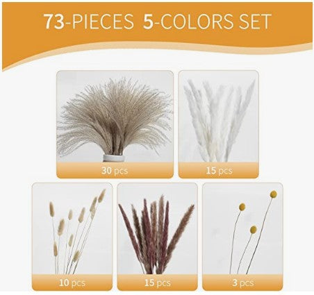 Dried Pampas Grass Bouquet – 60cm, 15 Stems, Natural Tones | Loam & Linen