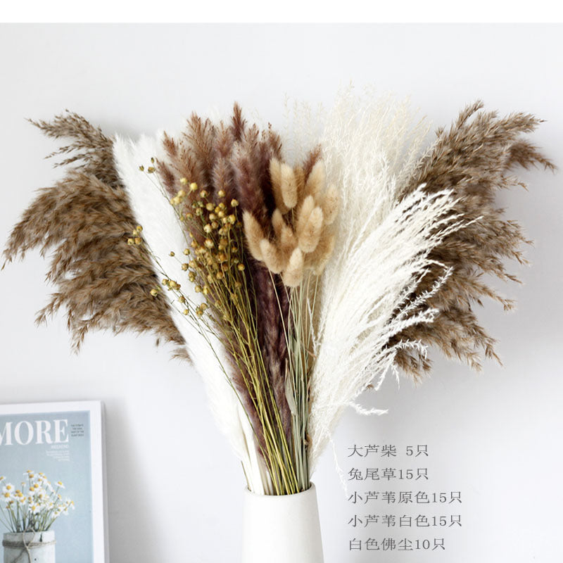 Dried Pampas Grass Bouquet – 60cm, 15 Stems, Natural Tones | Loam & Linen