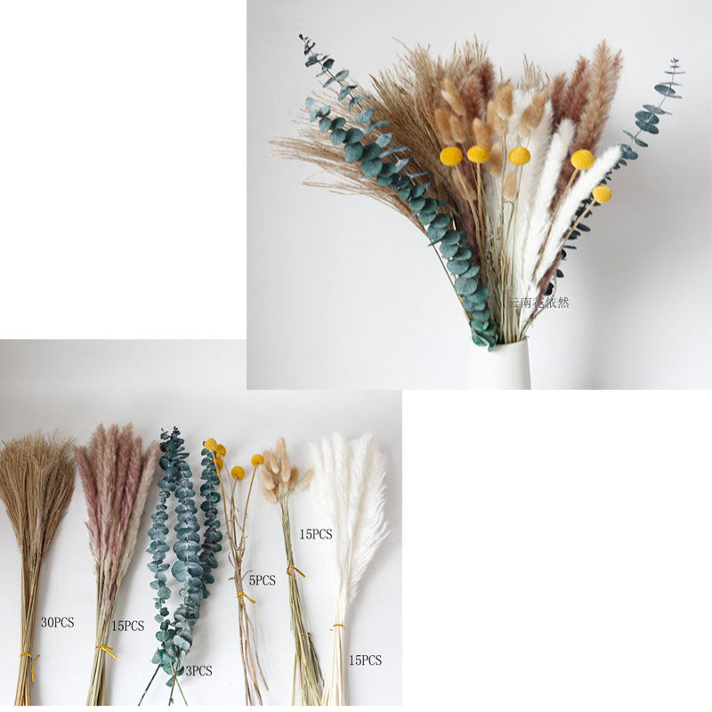 Dried Pampas Grass Bouquet – 60cm, 15 Stems, Natural Tones | Loam & Linen