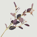 Artificial Eucalyptus Stems – Silk, 71cm, 3 Colours | Loam & Linen
