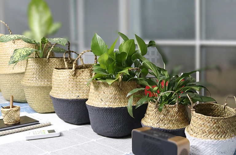 Handwoven Seagrass Basket