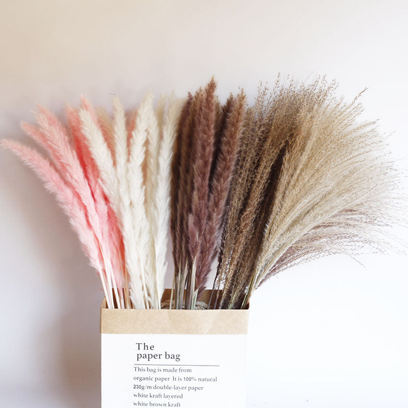 Dried Pampas Grass Bouquet – 60cm, 15 Stems, Natural Tones | Loam & Linen