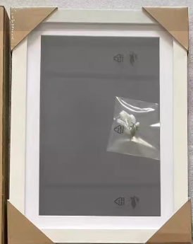 Magnetic Wood Picture Frame