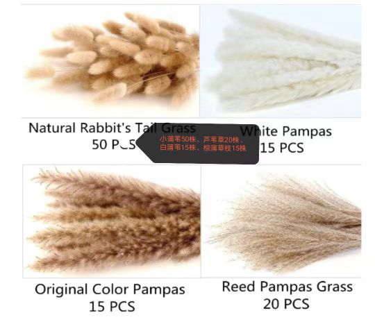 Dried Pampas Grass Bouquet – 60cm, 15 Stems, Natural Tones | Loam & Linen