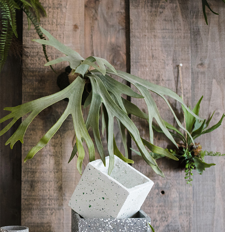 Faux Staghorn Fern Wall Decor
