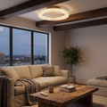 Crystal Halo Ceiling Light